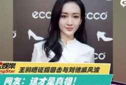 刘美丽最新爆料消息视频,揭秘视频背后的惊人真相