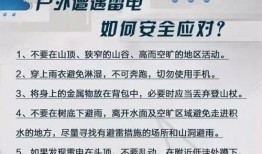 河源日报最新爆料新闻,揭秘河源某重大事件背后真相