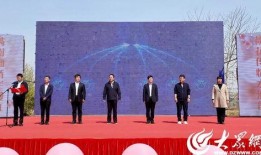 山东蒙阴媒体爆料新闻最新,媒体曝光惊人真相，详情即将揭晓