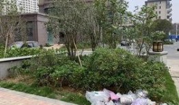 亦庄银河湾小区最新爆料,揭秘神秘豪宅背后的故事”