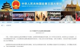 金沙洲爆料新闻事件最新,最新事件引发社会关注
